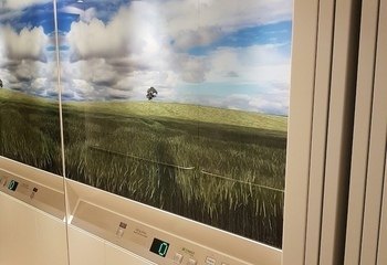  - 20171020_111952.jpg